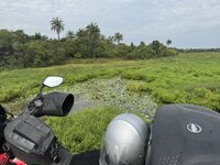 IMG_1259.jpeg