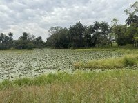 IMG_1263.jpeg