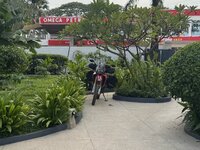 IMG_1282.jpeg