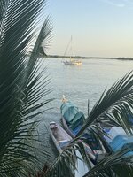IMG_1286.jpeg