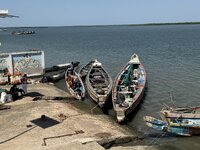 IMG_1294.jpeg