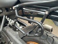 IMG_8287.jpeg
