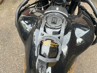 IMG_8280.jpeg