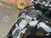 IMG_8279.jpeg