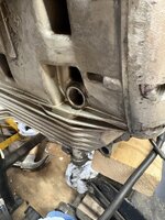 IMG_4015.jpeg