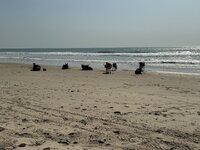 IMG_1319.jpeg