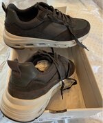 IMG_7177.jpeg