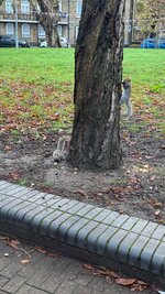 IMG_6305.jpeg IMG_6305.jpeg