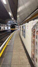 IMG_6312.jpeg IMG_6312.jpeg