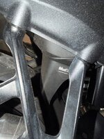 IMG_2416.jpeg
