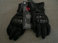 IMG_7195.jpeg