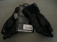 IMG_7196.jpeg
