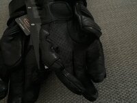 IMG_7197.jpeg