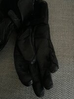 IMG_7203.jpeg
