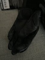 IMG_7204.jpeg