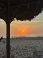 IMG_1339.jpeg