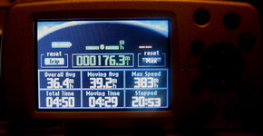 86617489-L.jpg