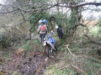 Trail 2.jpg
