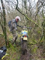 Trail 4.jpg