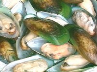 Green_Lipped_Mussel.jpg
