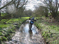 2 005.jpg