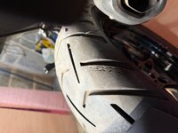 IMG_2421.jpeg