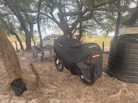 IMG_1383.jpeg IMG_1383.jpeg