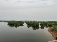 IMG_1386.jpeg IMG_1386.jpeg