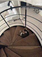 IMG_1389.jpeg IMG_1389.jpeg