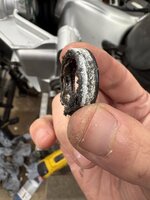 IMG_4052.jpeg