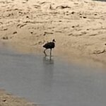 IMG_1362.jpeg