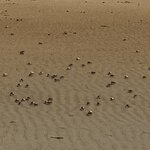 IMG_1364.jpeg
