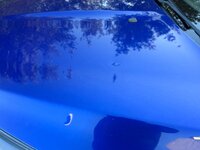 IMG_2696.jpeg