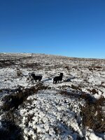 IMG_0858.jpeg