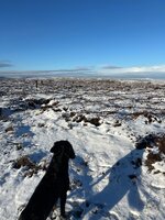 IMG_0867.jpeg