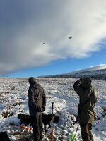 IMG_0873.jpeg