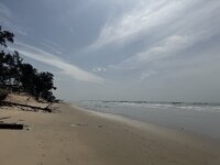 IMG_1406.jpeg IMG_1406.jpeg