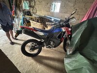 IMG_1417.jpeg IMG_1417.jpeg