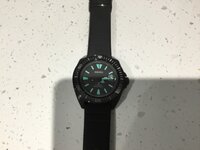 IMG_0497.jpeg