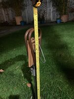 IMG_9361.jpeg