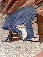 IMG_1422.jpeg