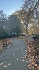 IMG_6506.jpeg