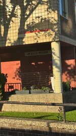 IMG_6508.jpeg