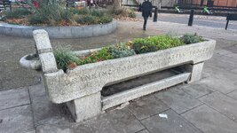 IMG_6509.jpeg