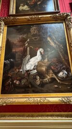 IMG_6388.jpeg IMG_6388.jpeg