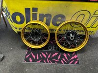 IMG_4677.jpeg