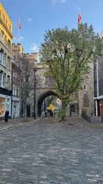 IMG_6523.jpeg