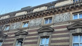 IMG_6529.jpeg