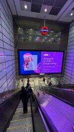 IMG_6471.jpeg IMG_6471.jpeg
