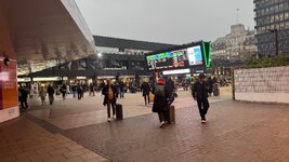 IMG_6470.jpeg IMG_6470.jpeg